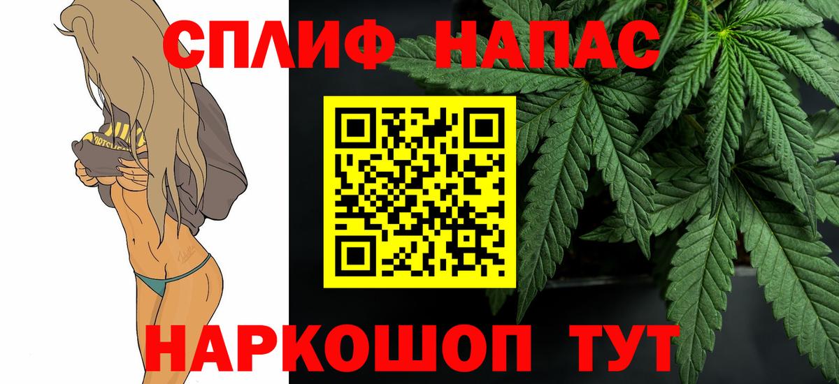 Конопля гибрид Моздок